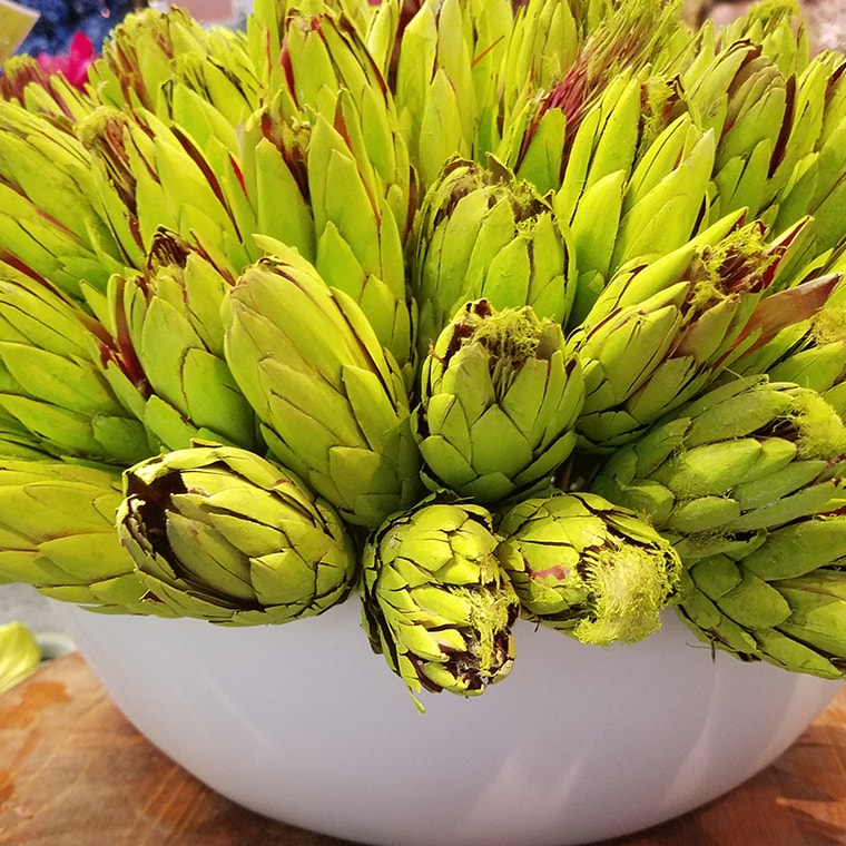 Floral and Decor Preserved and Dried Flowers